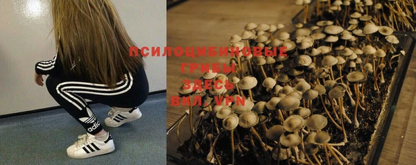 спиды Алексеевка