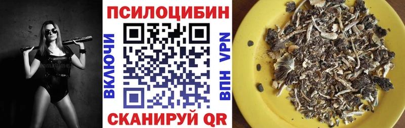 Галлюциногенные грибы Cubensis  Купить где  Кизилюрт 